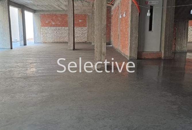 8353912 - Property Image 3