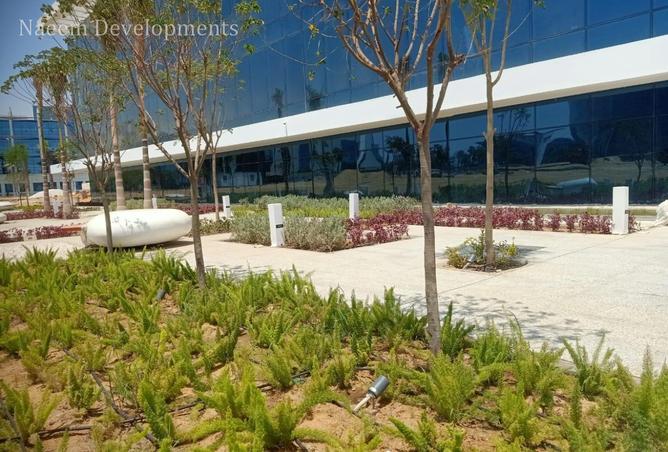 53980884 - صورة العقار 2