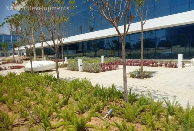53980884 - صورة العقار 2