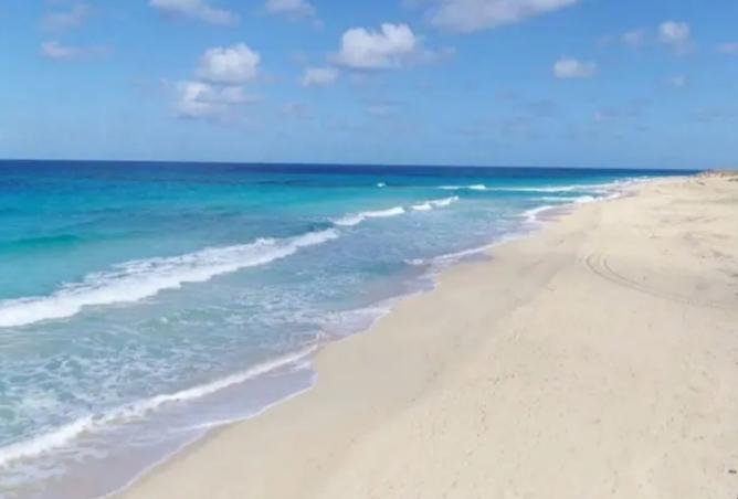 7480115 - صورة العقار 2