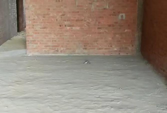 7481185 - صورة العقار 2