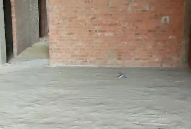 7481185 - الصورة الرئيسية للعقار