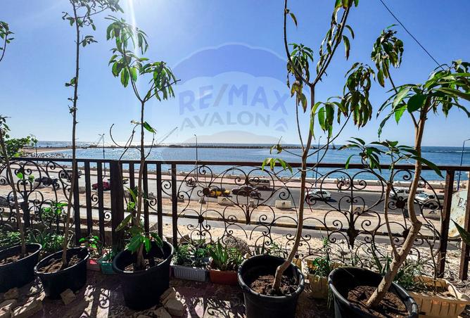 7482561 - الصورة الرئيسية للعقار