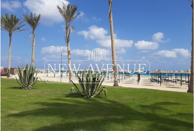 8409707 - صورة العقار 3