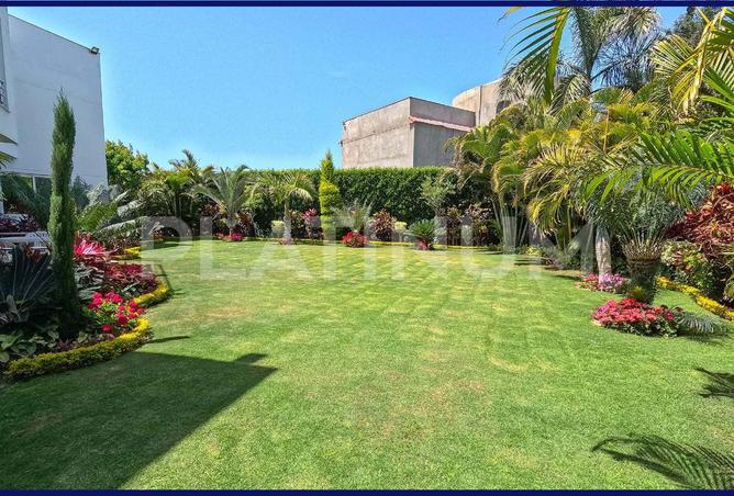 65916994 - صورة العقار 3