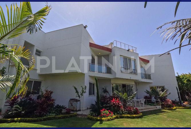 65916994 - صورة العقار 2