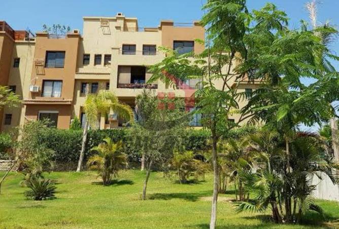 7512981 - صورة العقار 3