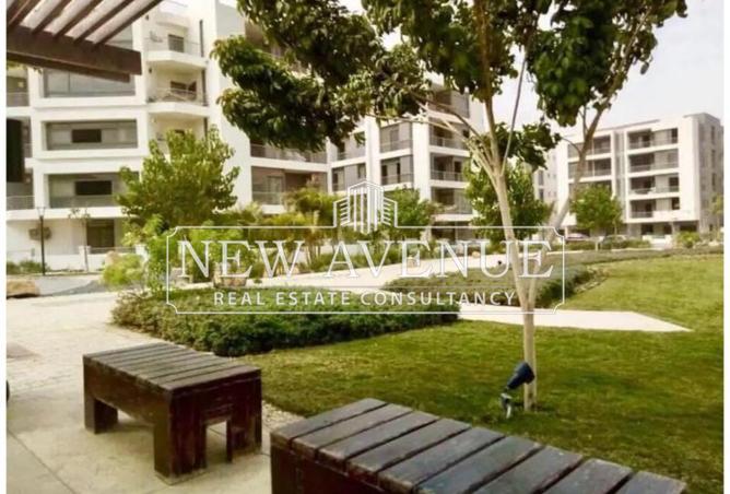 8353499 - صورة العقار 3