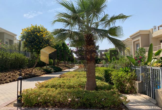 8291894 - الصورة الرئيسية للعقار