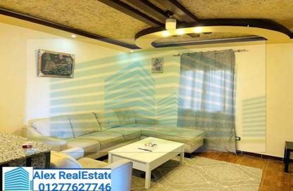 Apartment - 2 Bedrooms - 1 Bathroom for rent in Istanbul - Salah Mostafa - El Soltan Hussein St. - Raml Station - Hay Wasat - Alexandria