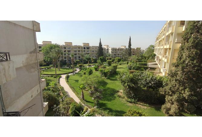 7507069 - Property Image 3