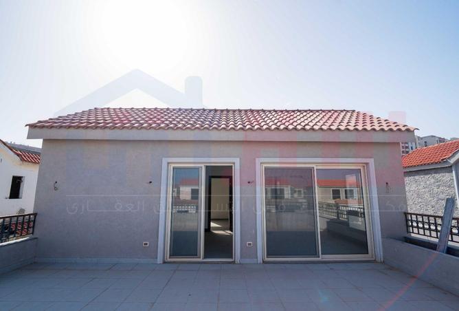 55247784 - صورة العقار 3