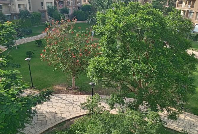 7513416 - الصورة الرئيسية للعقار