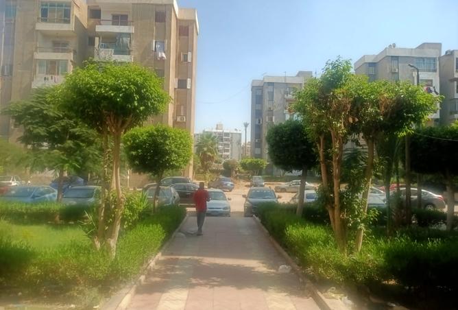 7517320 - الصورة الرئيسية للعقار