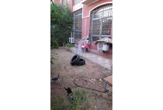 7520155 - صورة العقار 3