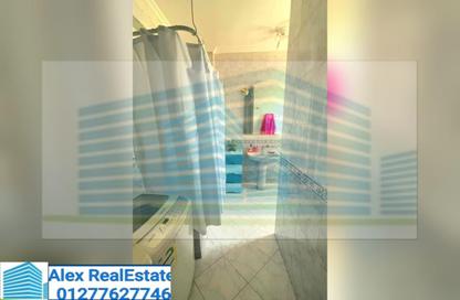 Apartment - 3 Bedrooms - 2 Bathrooms for rent in Shaarawy St. - Laurent - Hay Sharq - Alexandria