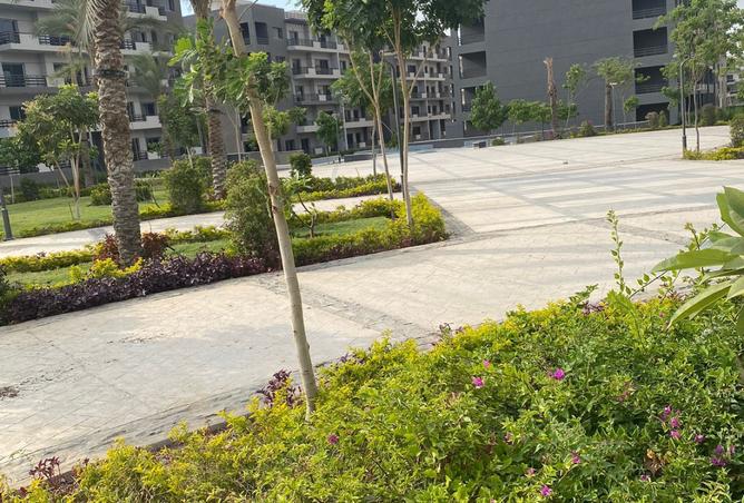 8590766 - صورة العقار 2