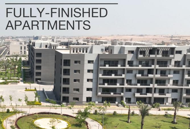 8590766 - صورة العقار 3