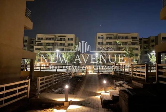 8324186 - Property Image 2