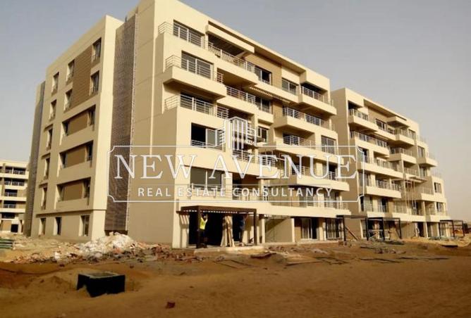 8324186 - Property Image 3