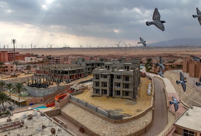 7525028 - صورة العقار 2