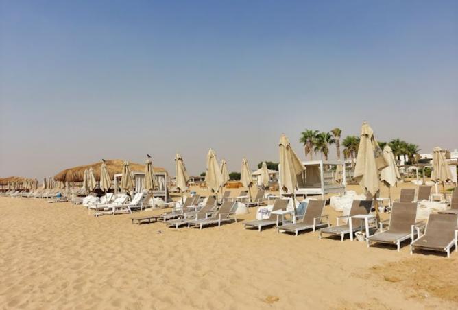 8302761 - صورة العقار 3