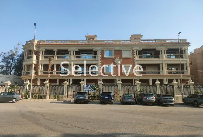 8396832 - الصورة الرئيسية للعقار