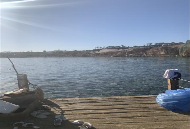 7546169 - صورة العقار 3