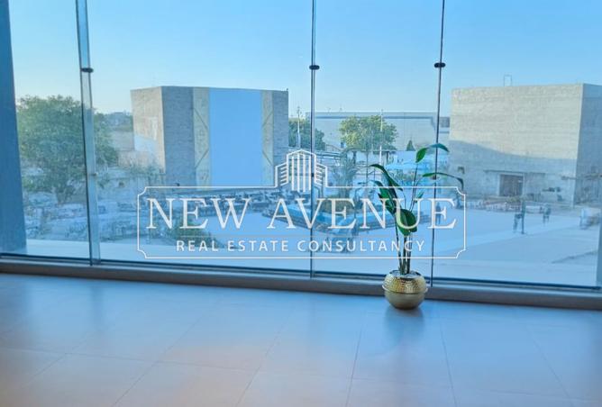 8315431 - Property Image 3