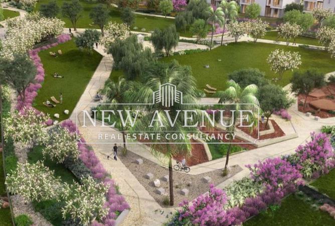 8284326 - Property Image 3