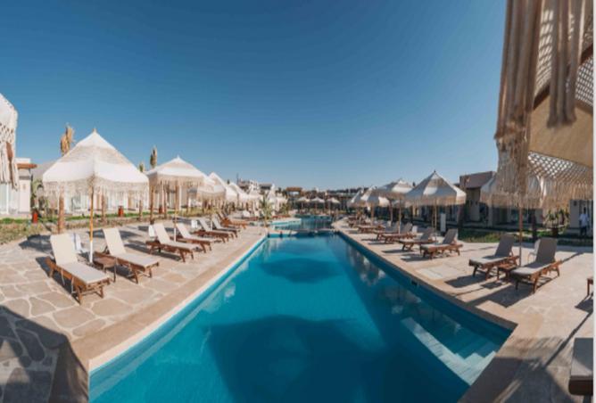 7553357 - Property Image 3