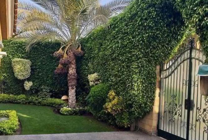 7555416 - صورة العقار 3