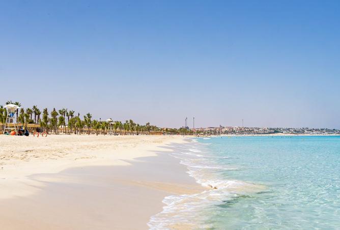 8590741 - صورة العقار 2