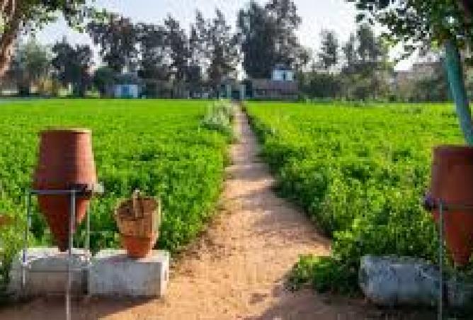 7557234 - الصورة الرئيسية للعقار