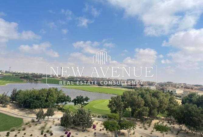 8283449 - Property Image 3