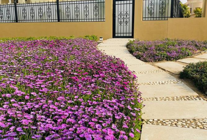 8182499 - صورة العقار 2