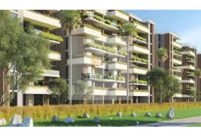 8376913 - Property Image 2