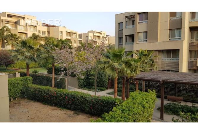 8356577 - Property Image 3