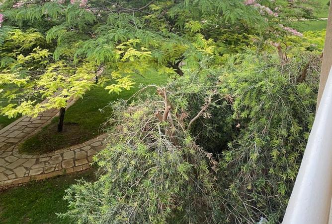 7591944 - الصورة الرئيسية للعقار