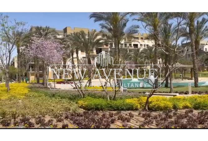 8197019 - صورة العقار 3