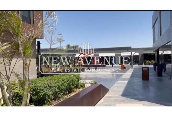 8197019 - صورة العقار 2