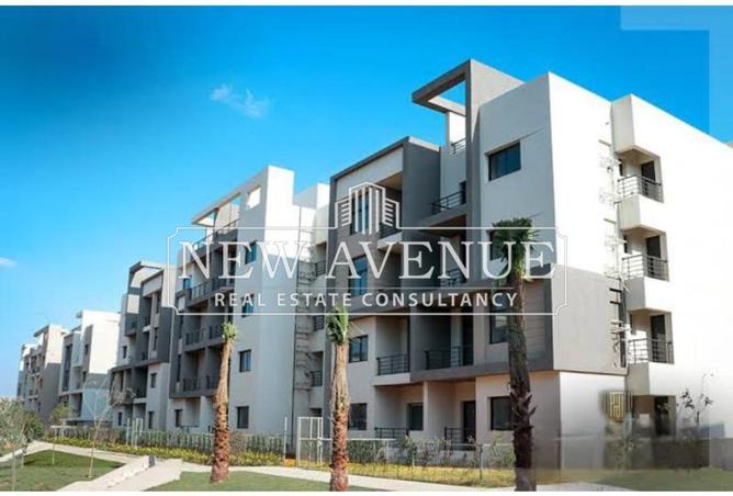 8169285 - صورة العقار 3