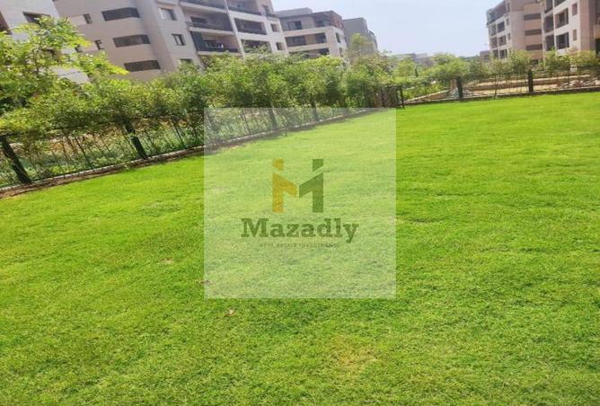 8376861 - Property Image 2