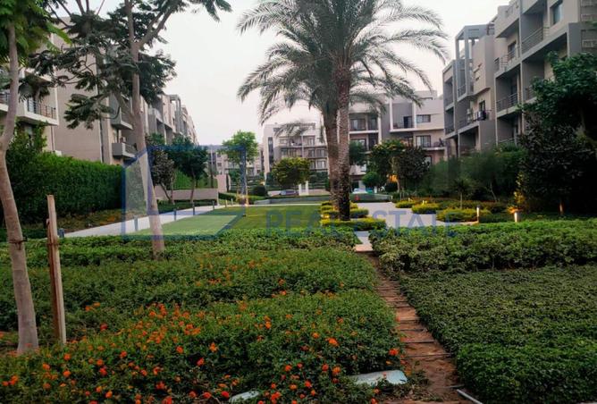 7590542 - صورة العقار 3