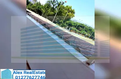 Apartment - 3 Bedrooms - 1 Bathroom for rent in Omar Lotfy St. - Sporting - Hay Sharq - Alexandria