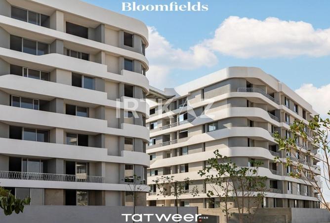 7981110 - Property Image 2