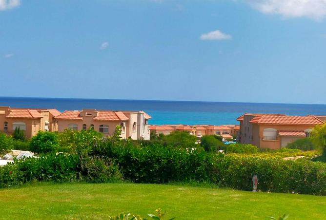 8410503 - Property Image 3