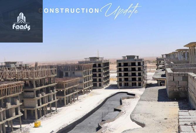 8392506 - صورة العقار 3