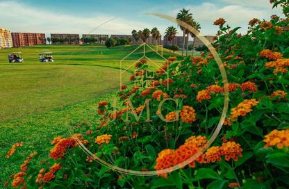 Apartment - 2 Bedrooms - 2 Bathrooms for sale in Golf Porto Marina - Al Alamein - North Coast