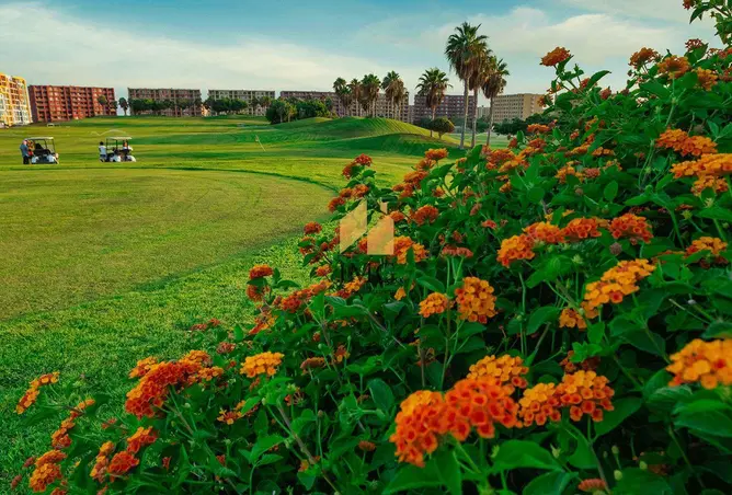 7602164 - صورة العقار 2